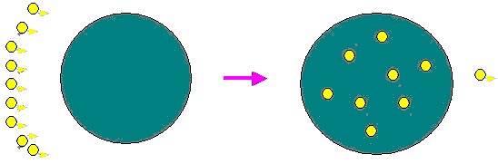 image0006.gif (11975 ֽ)