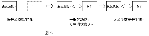 rgzhngl-2-004.gif (10593 ֽ)