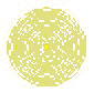 futu001.gif (2021 ֽ)
