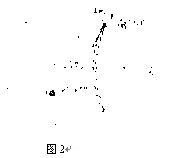 pzhdyzhjqzhlgsh-2.gif (1450 ֽ)
