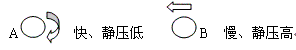 gyyzhzhyj-12.gif (2054 ֽ)