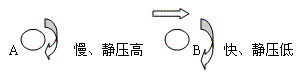 gyyzhzhyj-14.gif (2505 ֽ)